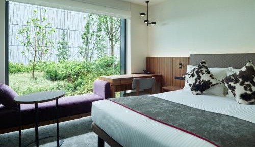 Moderate Double Room - Non-Smoking 