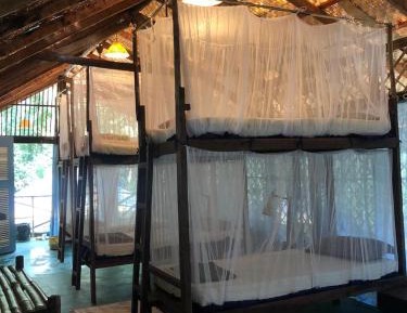Bed in 6-Bed Mixed Dormitory Room