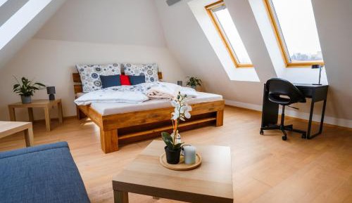 Duplex Apartment