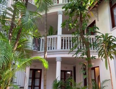 Jungle Comfort