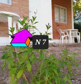 Studio with Garden View