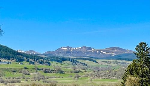 Suite with Mountain View