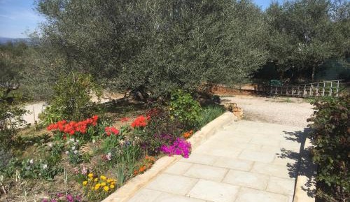 Double Room with Garden View