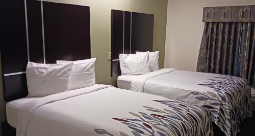 Superior Room with Two Double Beds with Kitchenette Non-Smoking