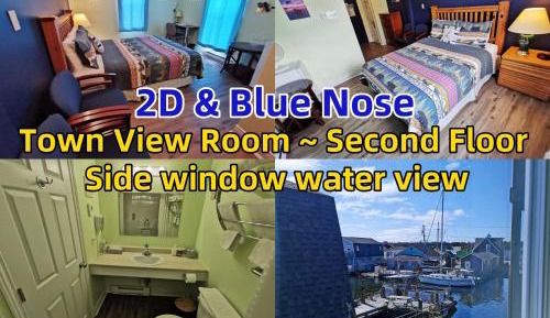Town View Room - side window water view - Blue Nose & 2D