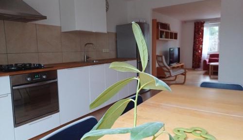 Apartment with Garden View