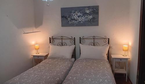 Twin Room with Private Bathroom