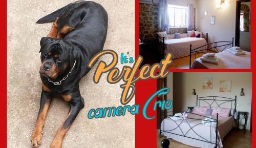 Triple Room with Private Bathroom