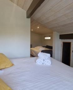 King Studio with Sofa Bed