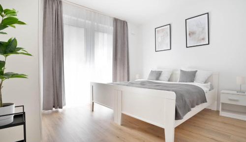 Superior One-Bedroom Apartment with Balcony