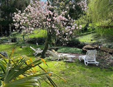 Queen Room with Garden View