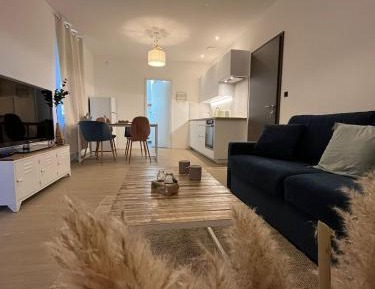 Deluxe One-Bedroom Apartment