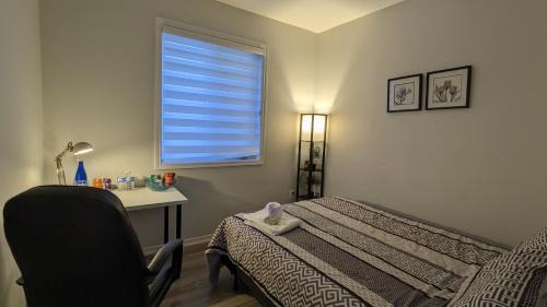 Budget Single Room