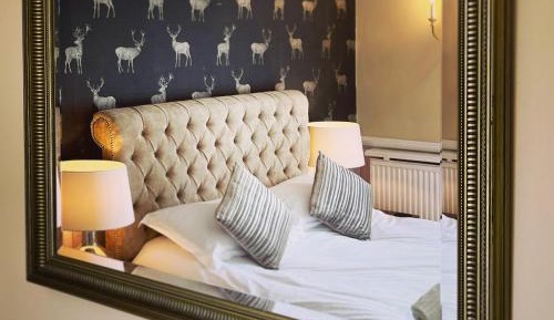 Deluxe King Suite