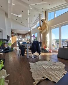 Double Room with Terrace