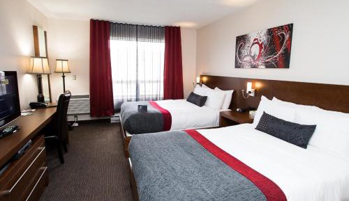 Executive Room with Two Queen Beds