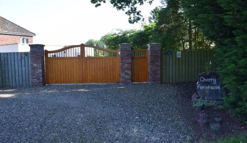 King Room with Garden View