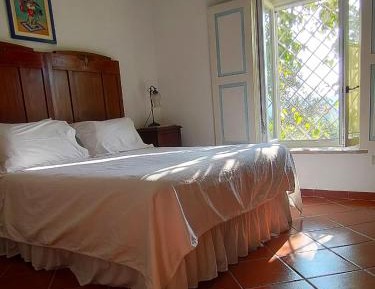 Double Room with Garden View