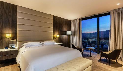 Deluxe One-Bedroom King Suite