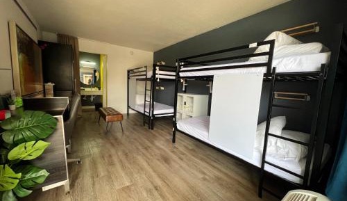 Bed in 4-Bed Mixed Dormitory Room