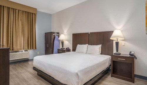 King Room with Mobility Accessible Roll-In Shower