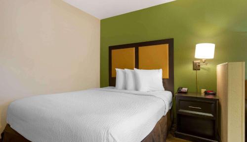 Deluxe Studio with 1 Queen Bed - Non-Smoking