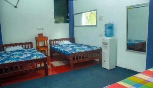 Bed in 6-Bed Mixed Dormitory Room