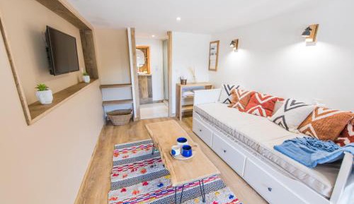 Studio with Mountain View