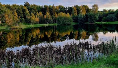 Two-Bedroom Cottage (4 Adults) 