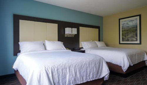 Queen Room with Two Queen Beds - Disability Access with Roll In Shower