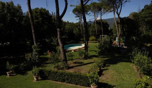 Junior Suite with Garden View