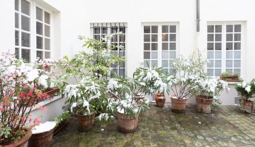 Apartment - Ground Floor