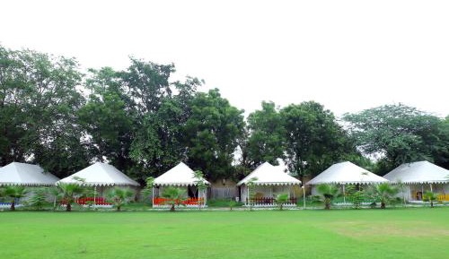 Tent
