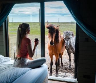 Sleeping with the horses Blesi