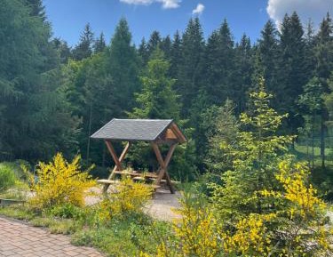 One-Bedroom Apartment with Terrace