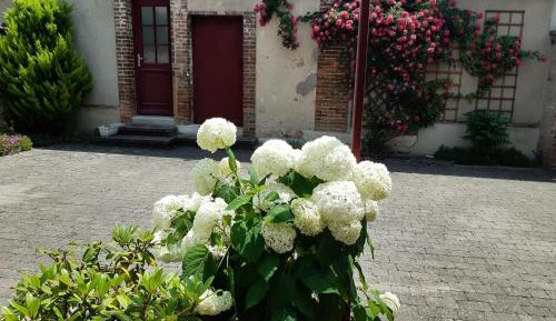 Studio with Garden View