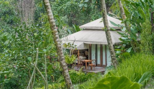 Selako Suite