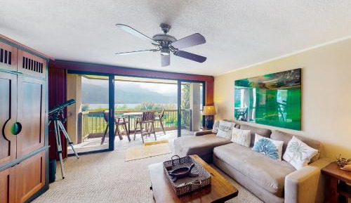 One Bedroom Apartment