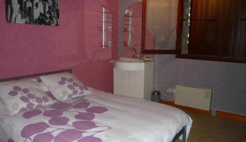 Single Room with Garden View