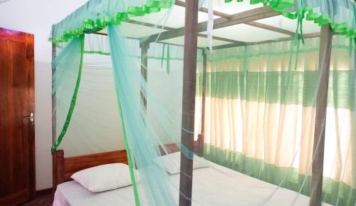 Standard Double Room with Fan