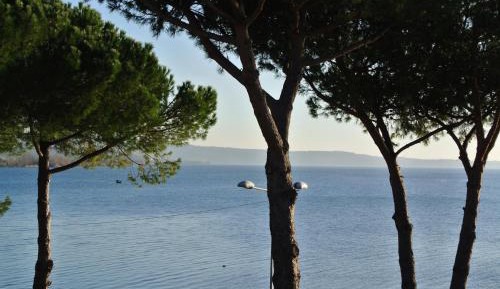 Double or Twin Room with Balcony and Lateral Lake View