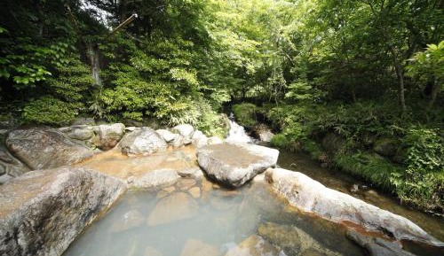 Deluxe Japanese-Style House with Open-Air Bath