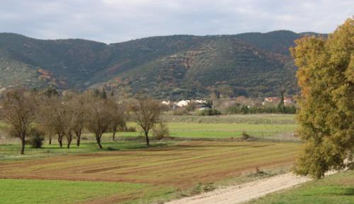 Triple Room with View