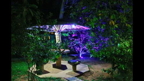 Double Room with Private External Bathroom