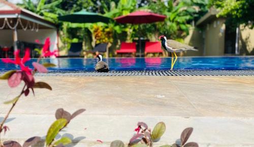Deluxe Double or Twin Room with Garden View
