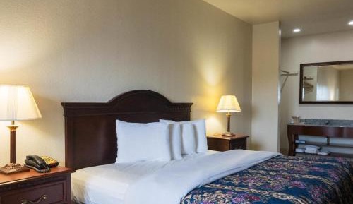 Deluxe King Suite