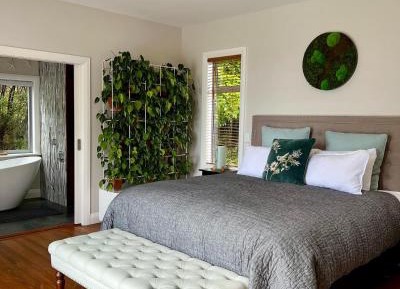Deluxe King Suite