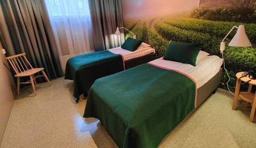 Basic Twin Room