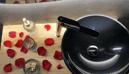 Deluxe One-Bedroom Apartment