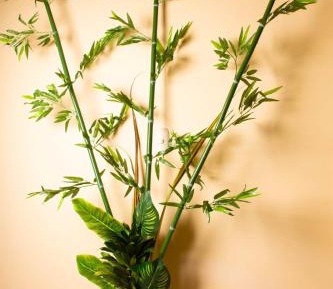 Deluxe Double Room with Extra Bed